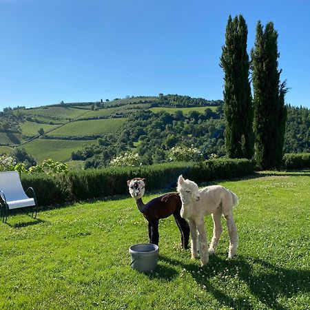 Villa Rignana Chianti Estate, Pool, Tennis,Cook Greve in Chianti Bagian luar foto